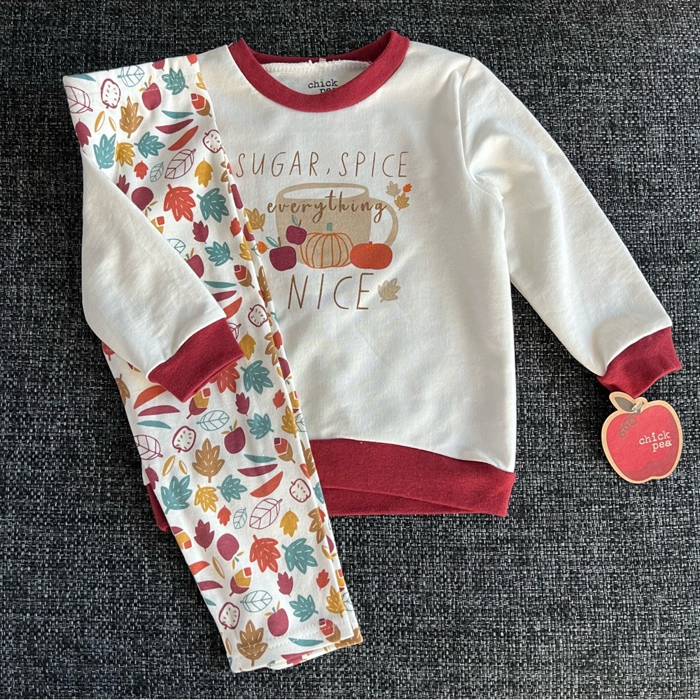 NWT Chick Pea Fall Outfit Size 24 Months